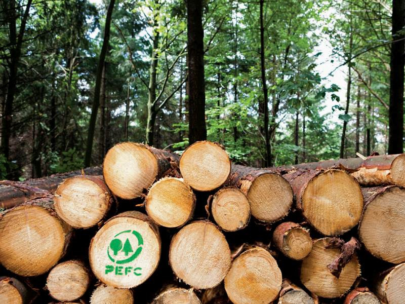 Zajímejme se o původ dřeva, ze kterého stavíme. Jaký je v ČR systém certifikací? 